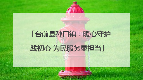 台前县孙口镇：暖心守护践初心 为民服务显担当